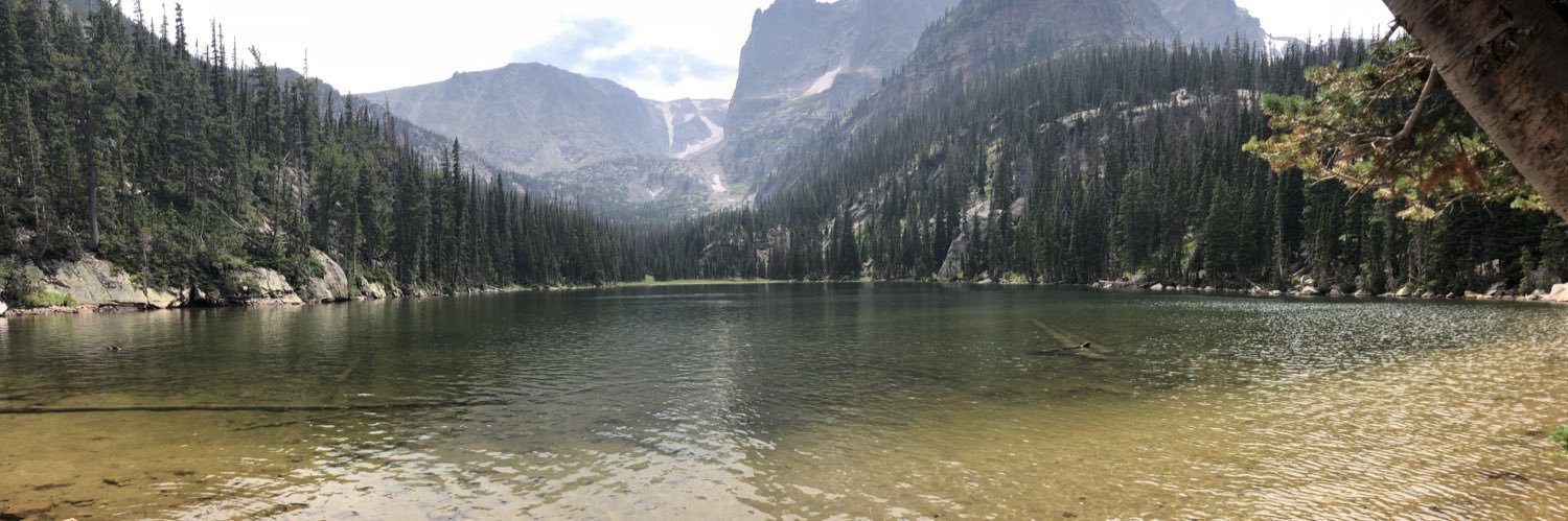 Reagan Linder banner