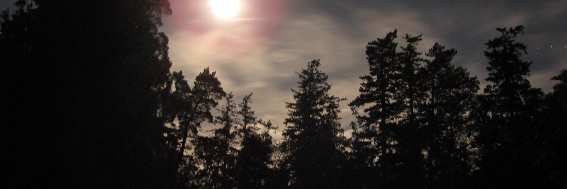 @str4d@abyssdomain.expert🛡️ banner