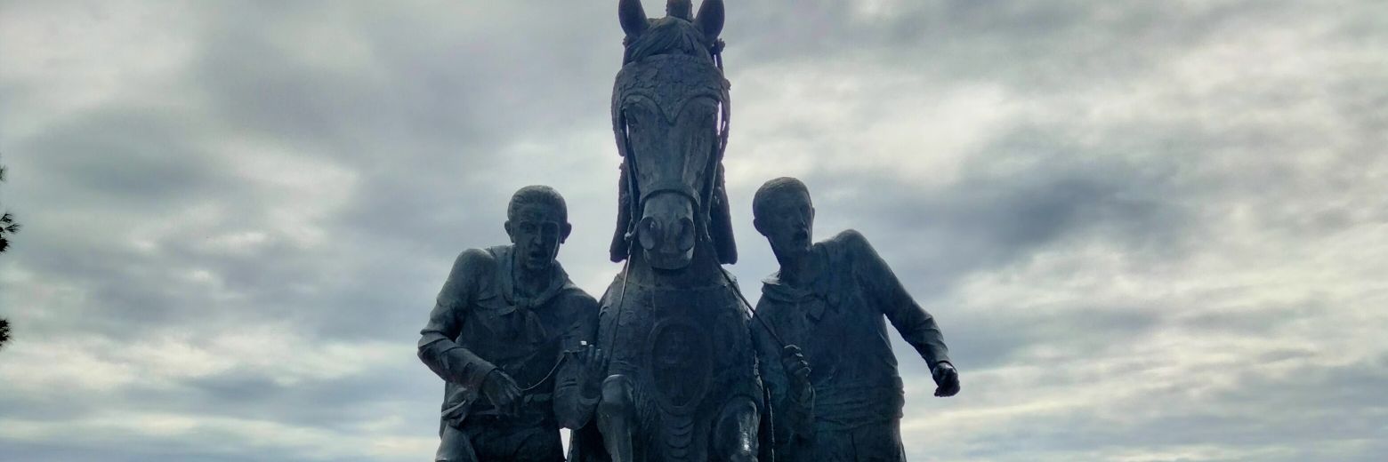 elbauldecelia's profile banner image