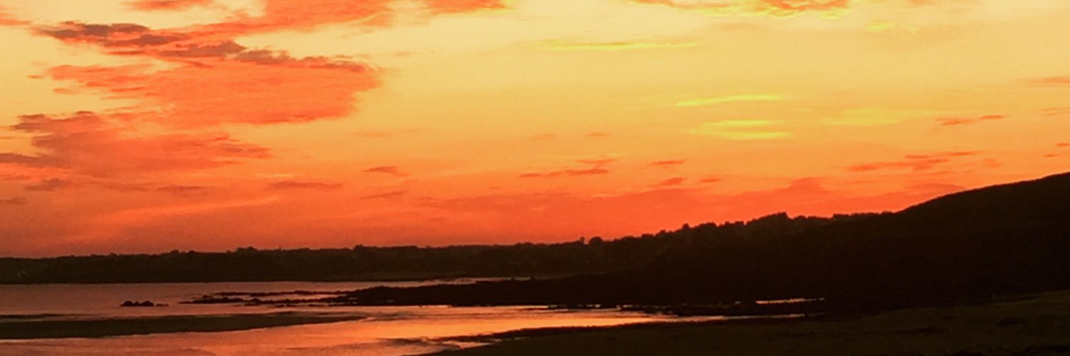 ToBibs29's profile banner image