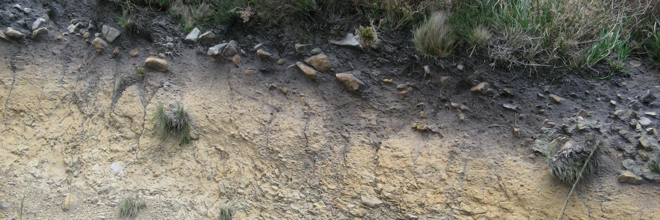 SoilMicroEcol's profile banner image