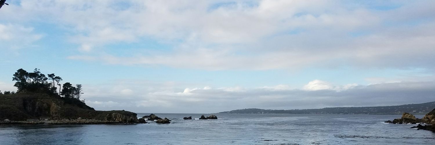 SzaboElizabeth's profile banner image