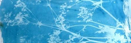 SWMediatorForum's profile banner image