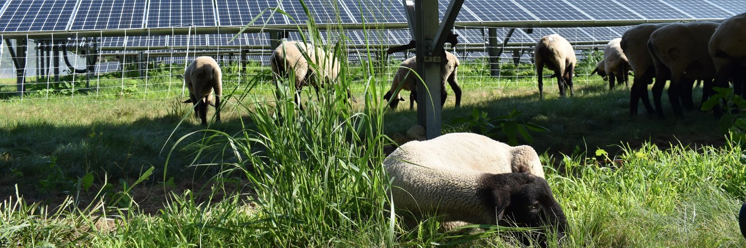 bluewavesolar's profile banner image