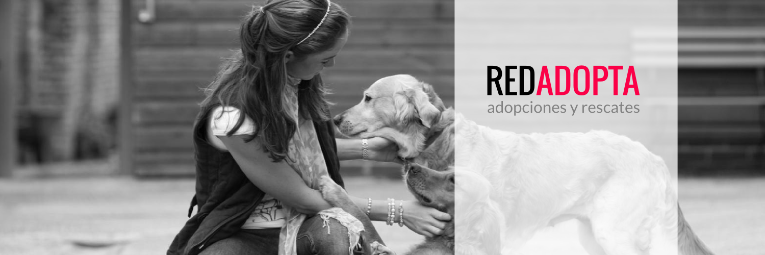 Red Adopta banner