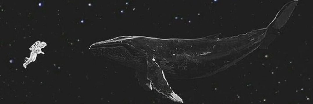 Alamiri110's profile banner image