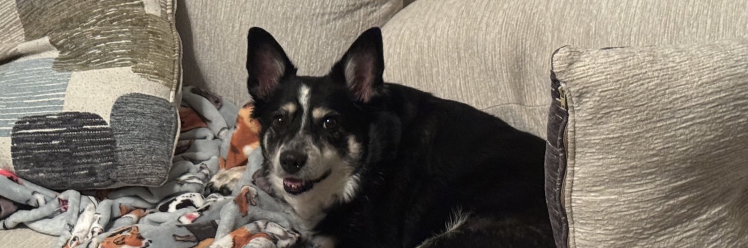 semojrs2's profile banner image