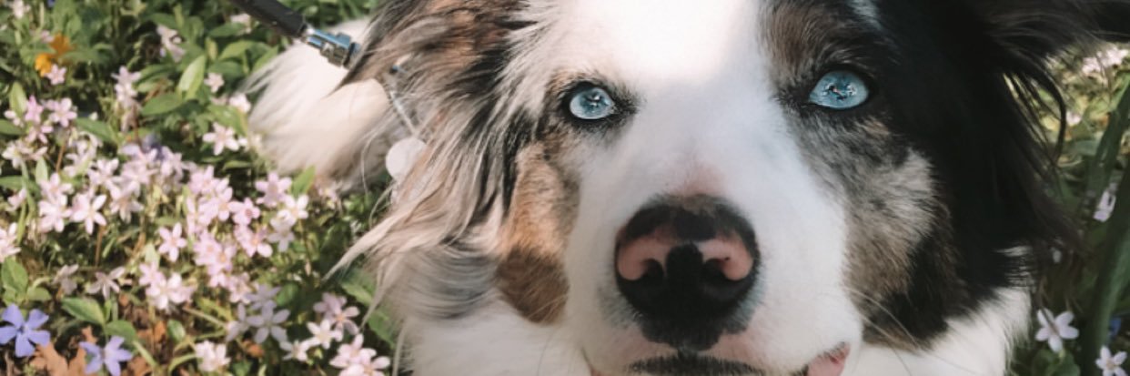 macy_stower's profile banner image