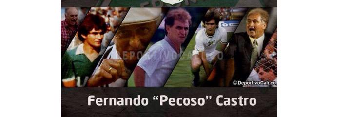 Ofelo banner