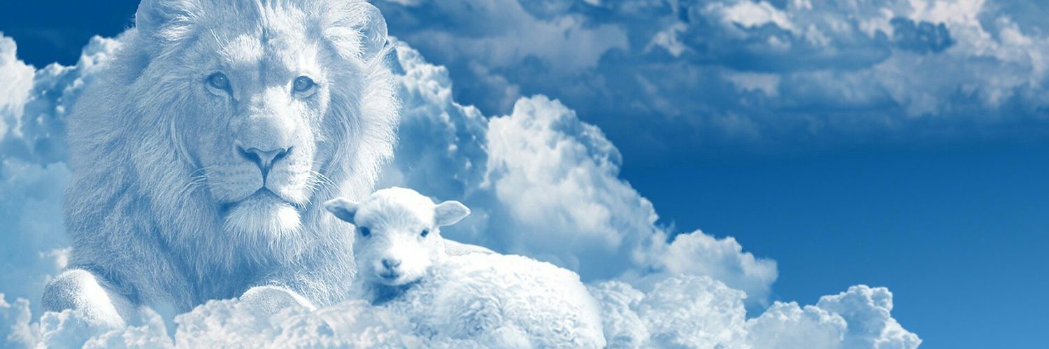 iceprincess56's profile banner image