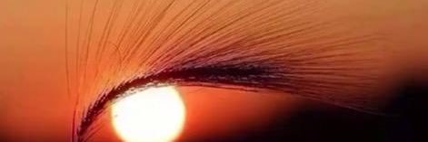 AFaleh111's profile banner image