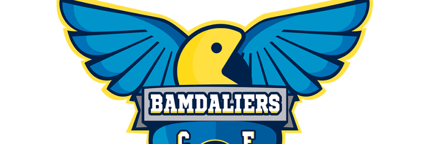 Bamdaliers CF banner