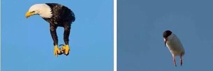 arsonistsnowman's profile banner image