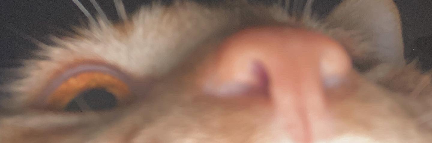 urhandler_'s profile banner image