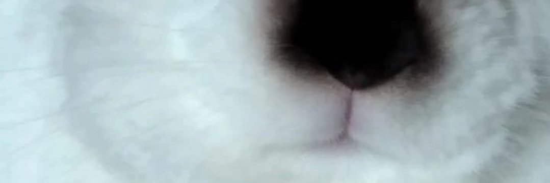 DesySalem's profile banner image