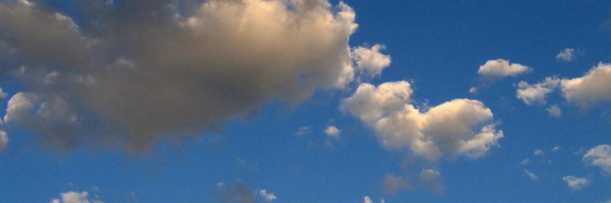 storiesoftrees's profile banner image
