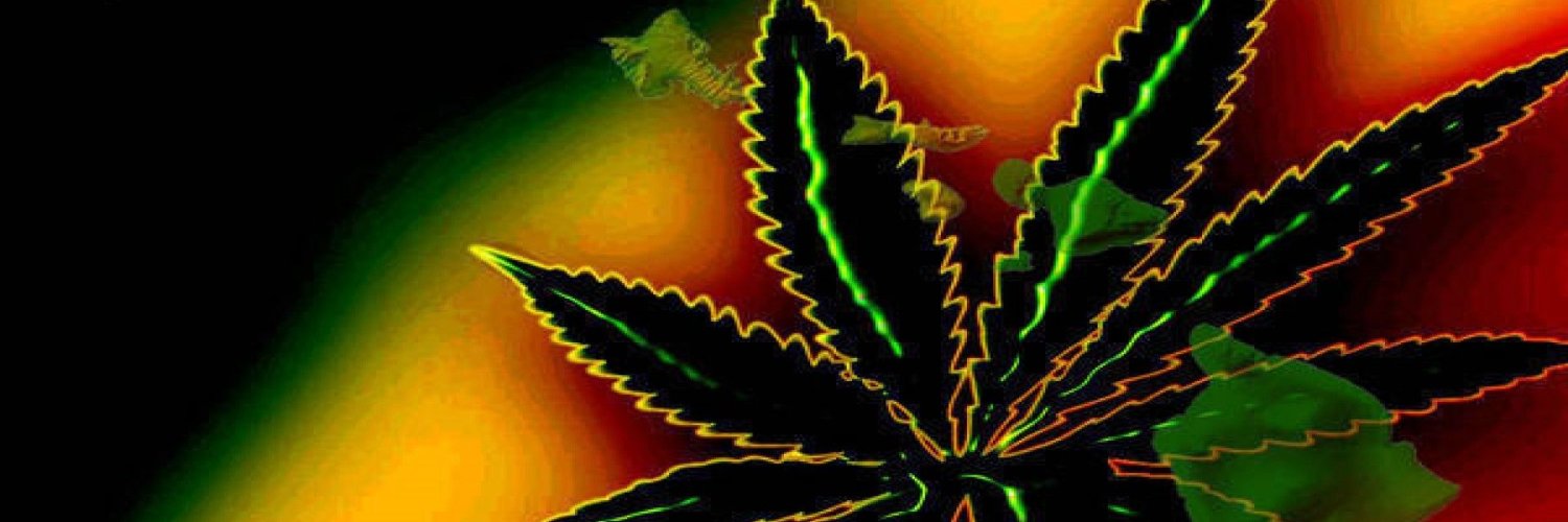 ifxpense's profile banner image
