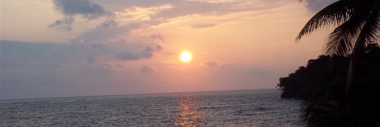 alvf2010's profile banner image