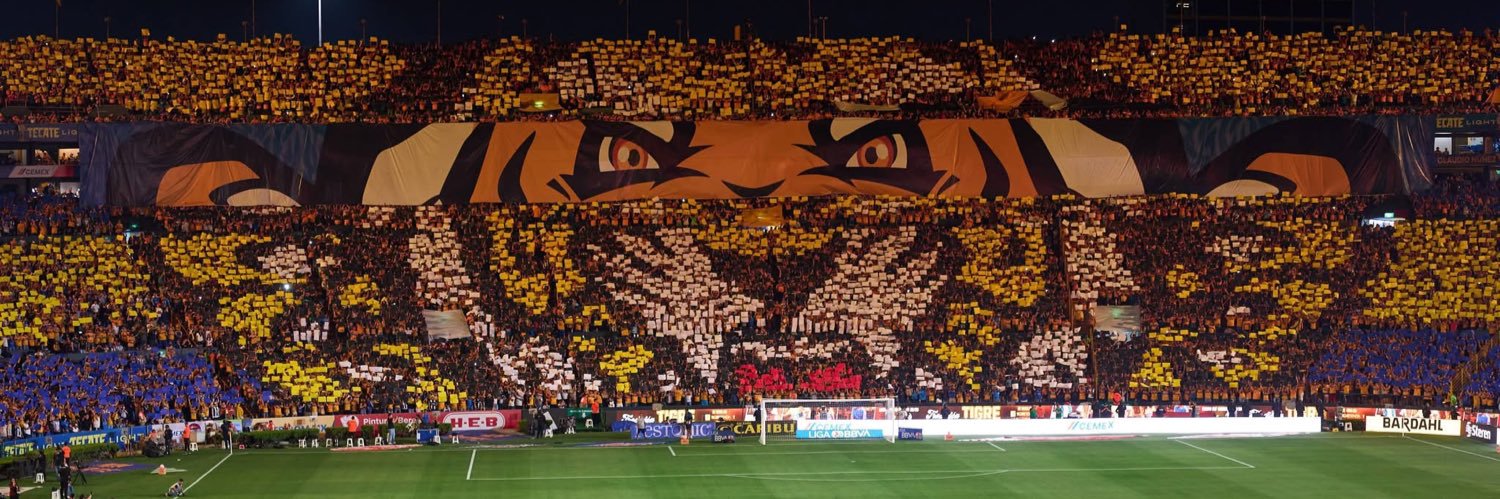 The Shocker 🦠 banner