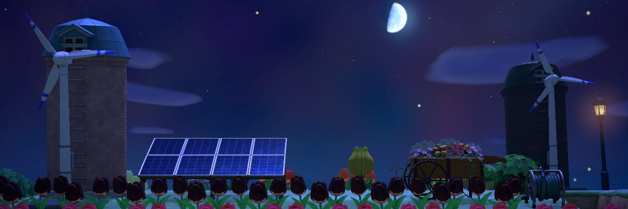 Sean banner