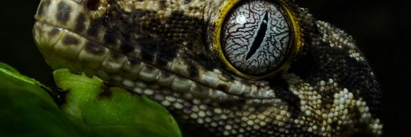 MapofLife_ai Profile Banner