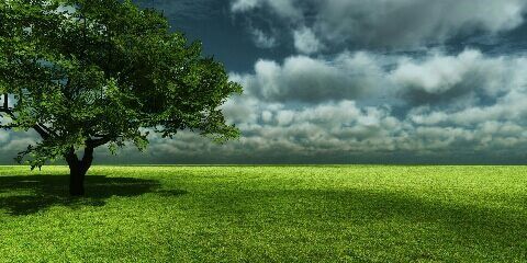1432Ams's profile banner image