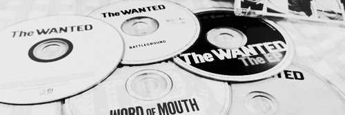 raygerscowitz's profile banner image