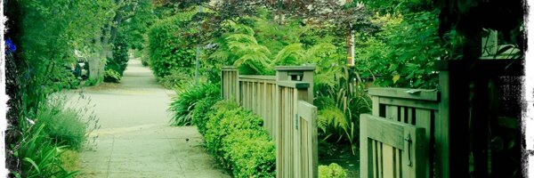 Matorka Profile Banner