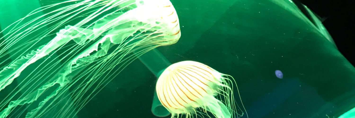 ラノ banner