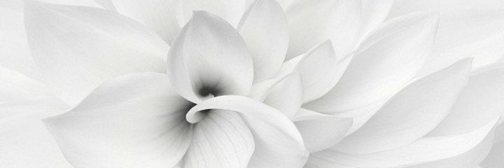 as333984's profile banner image