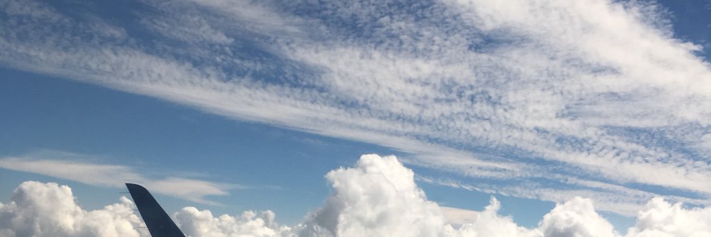 natural_toffee's profile banner image