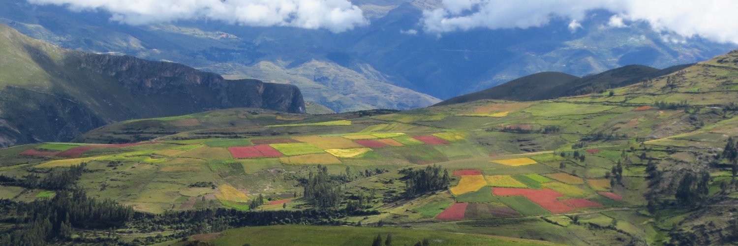 Erika Foster PhD banner