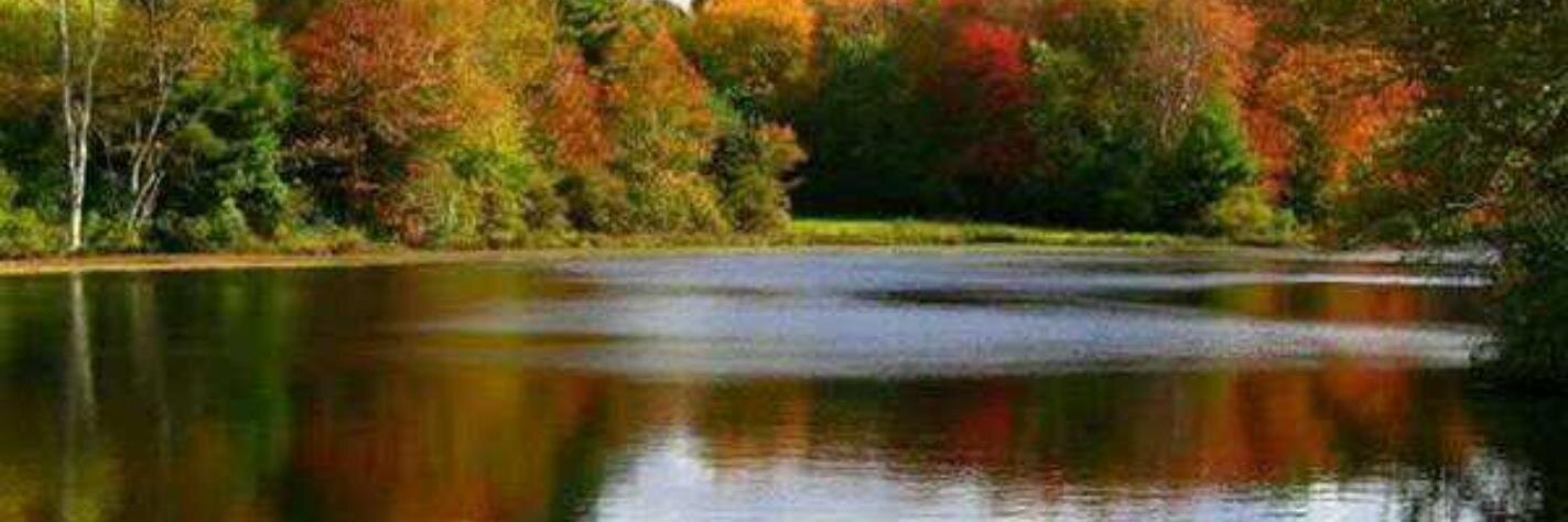 michellamoureux's profile banner image