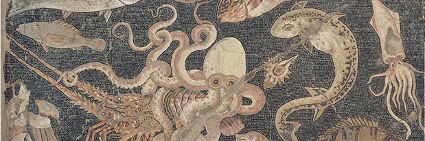 AJ Fish TracingVRL.substack.com banner