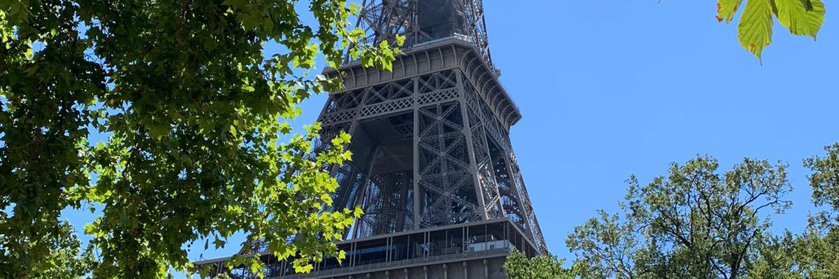 Angela Pedigo banner