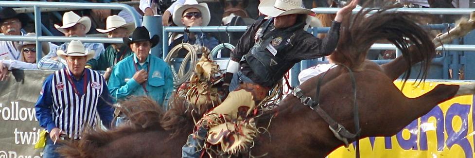 Dipper_Cowboy's profile banner image