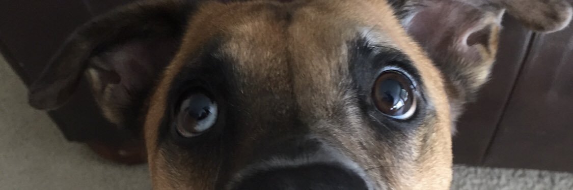 JorgeLSolis's profile banner image