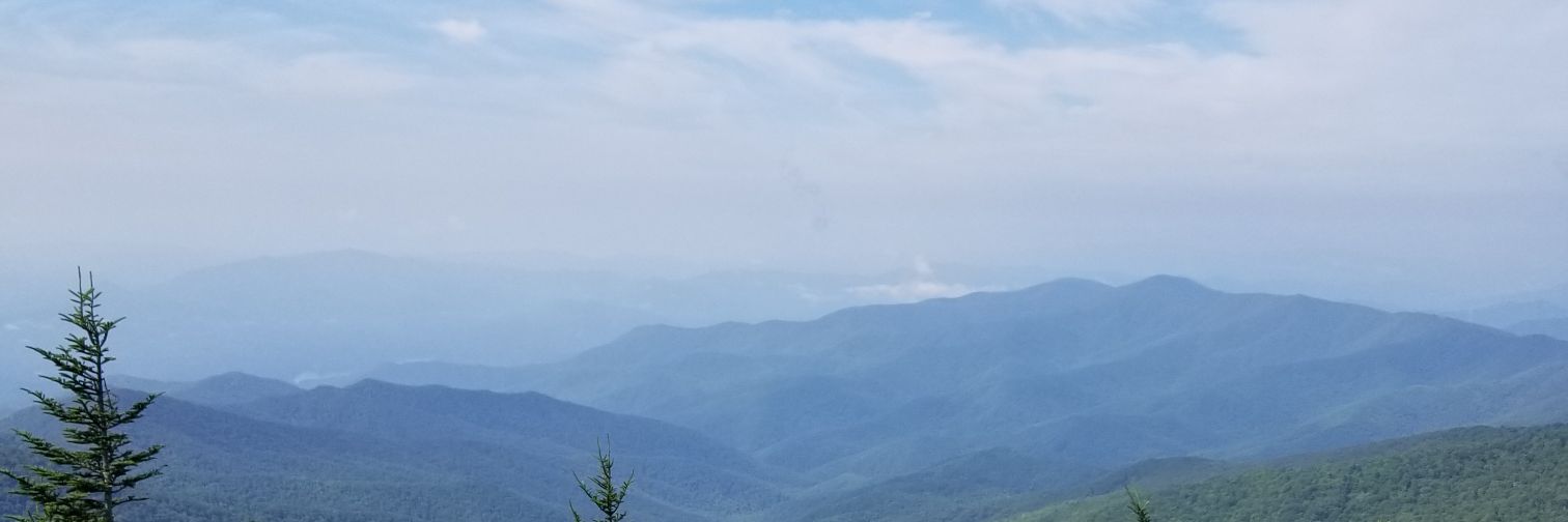 Anthony hetzer banner