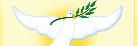 abarca202's profile banner image