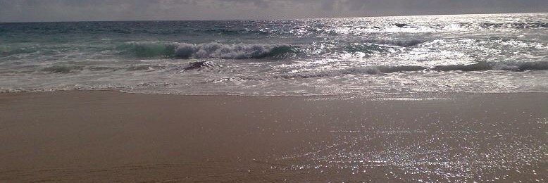 تشومسكي banner