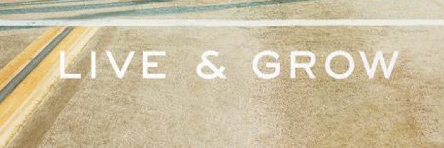 jhelt95's profile banner image