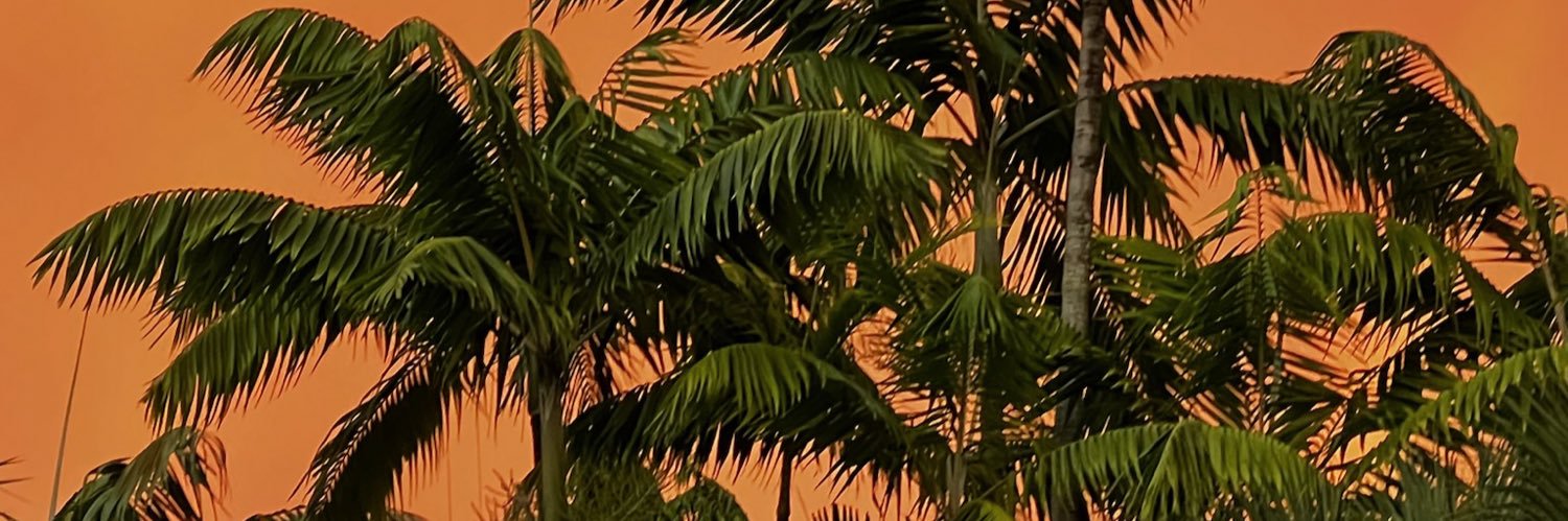 Serenaa00's profile banner image