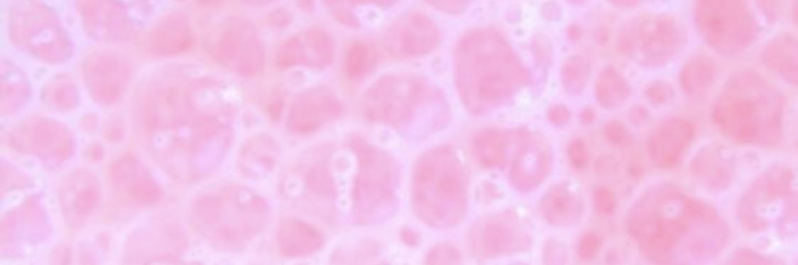 gabyd233's profile banner image