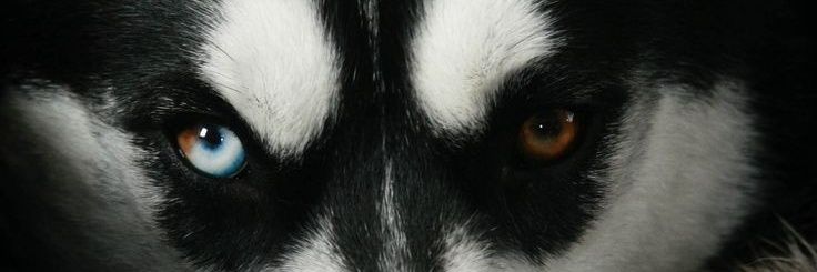 ALMEM1_'s profile banner image