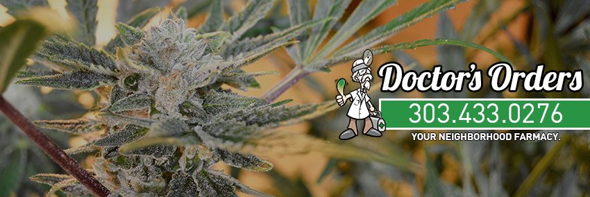 docs303's profile banner image