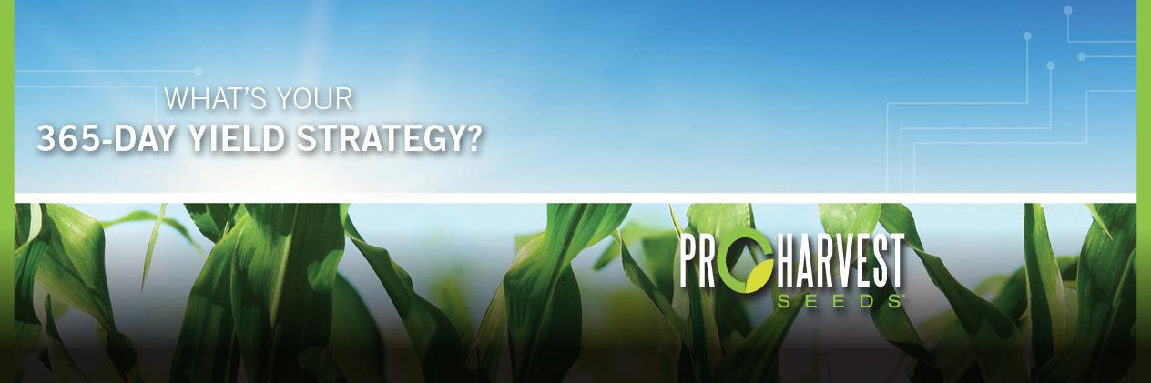 ProHarvest Seeds Inc banner