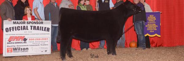 Double_RCattle Profile Banner