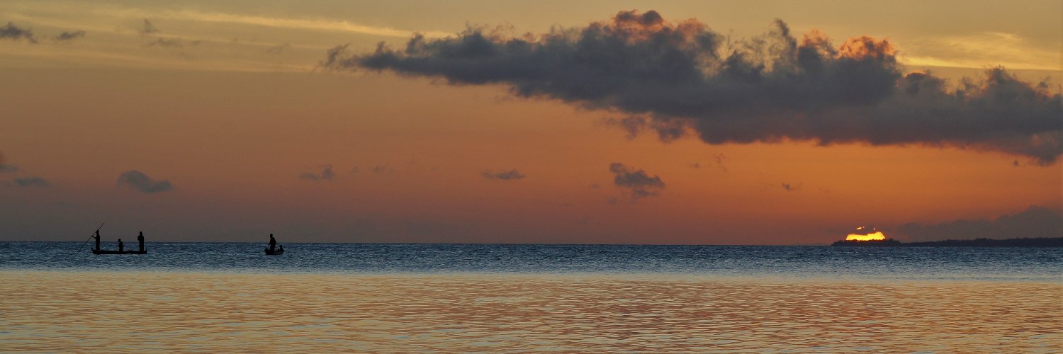 MarioShimbov's profile banner image