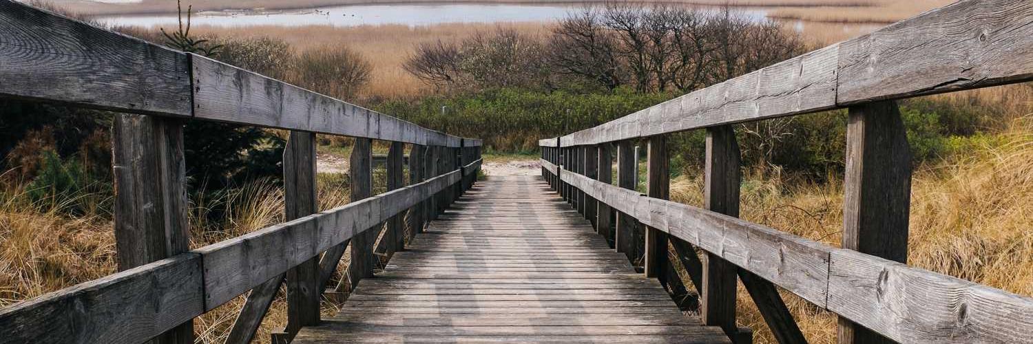 Club Penguin Tracker❤️ Memecoin banner