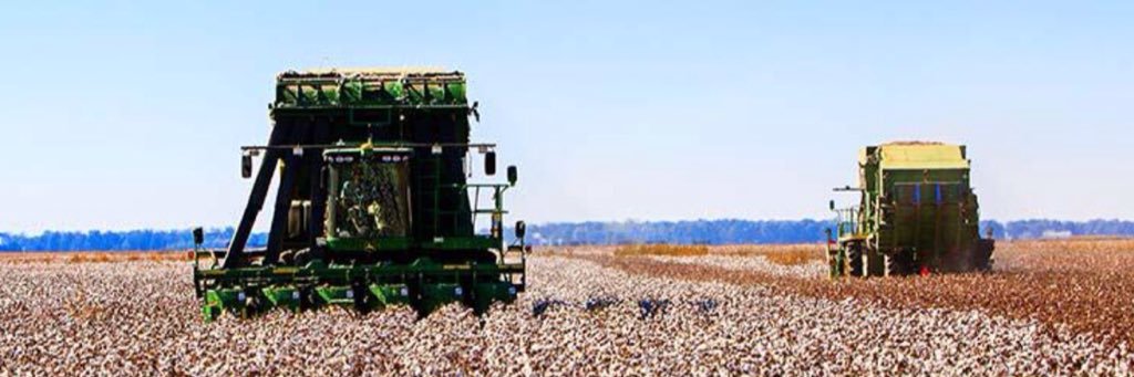 ժíɑղҽ Ƒɑɾӏҽվ Ϲօօƙ banner